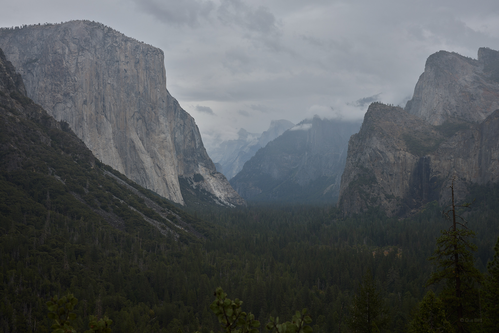 Yosemite Valley Rain